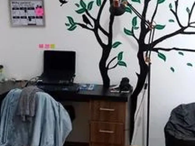 Imagem 3: Vendo Apartamento Centro de Bh