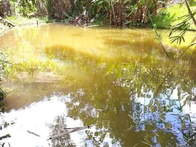 Imagem 11: Casa em Domingos Martins
