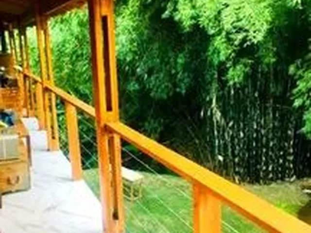 Imagem 13: Casa em Domingos Martins