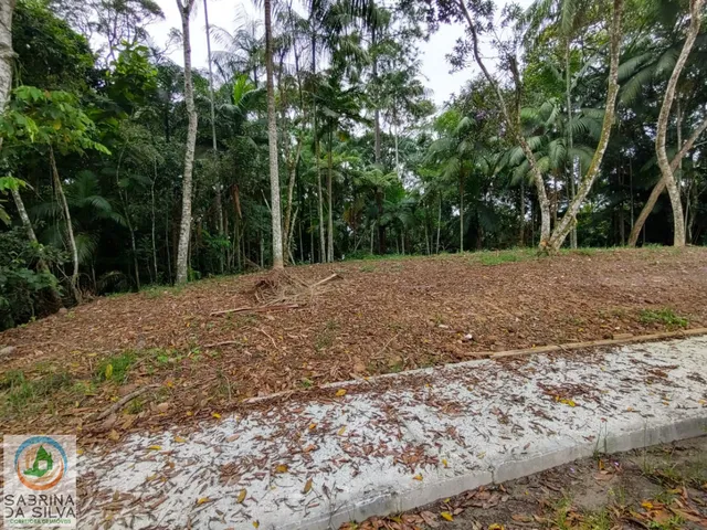 Imagem 3: Lote/Terreno - Nova Esperança - Blumenau