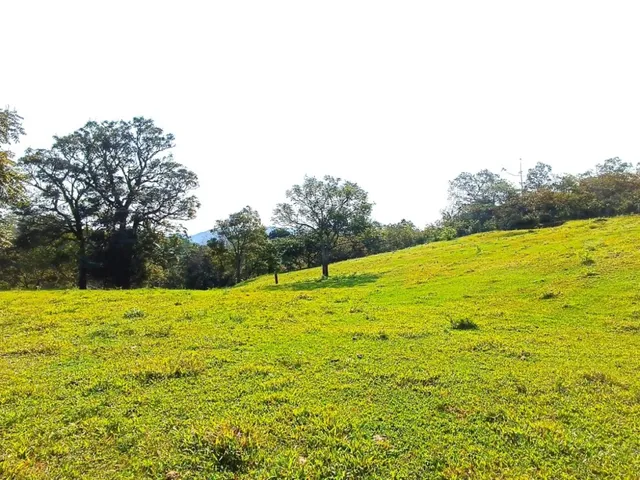 Imagem: Lote/Terreno - Badenfurt - Blumenau