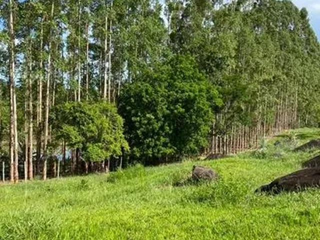 Imagem: Vendo Chácara em santa Maria Aracruz