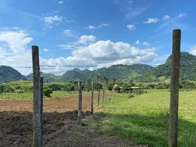 Imagem 3: Vendo Chácara em santa Maria Aracruz