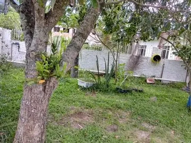 Imagem 2: Casa no Ribeirão da Ilha-Florianópolis-Sc
