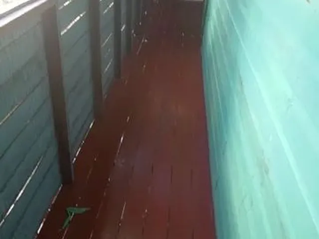 Imagem 4: Vendo 10.500 Casa com 2 dormitórios
