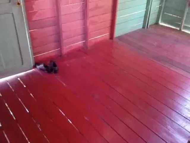 Imagem 5: Vendo 10.500 Casa com 2 dormitórios