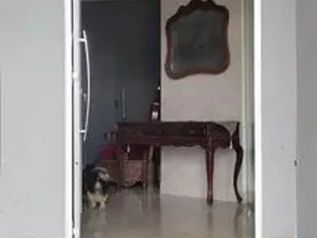Imagem 2: Alugo Apartamento Mobiliado