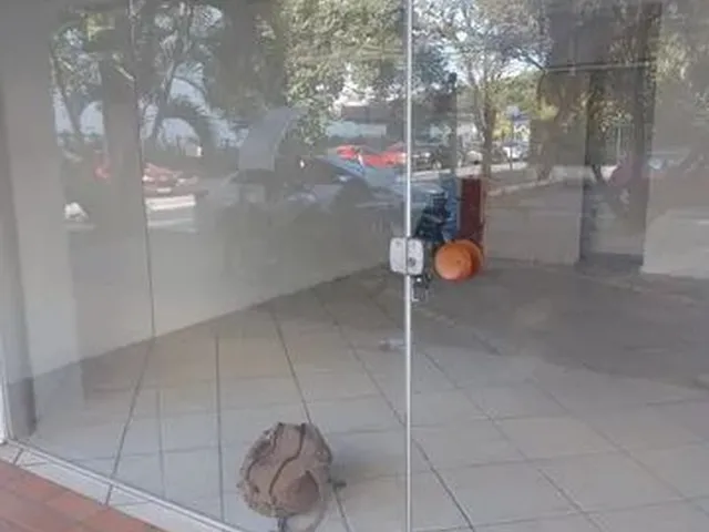 Imagem: Flat para Aluguel Tem 34 Metros Quadrados