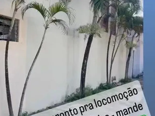 Imagem: Aluguel de Apartamento