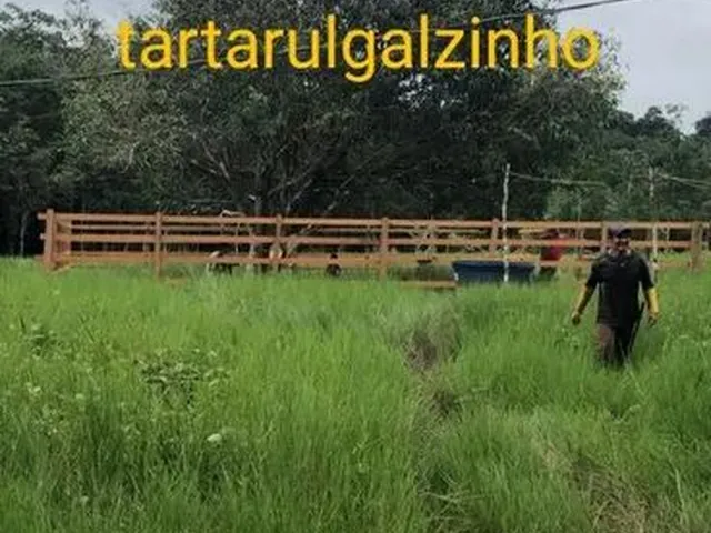 Imagem: Vendo Chácara em Tartaurugalzinho