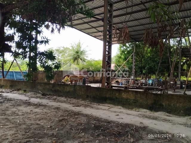 Imagem 3: Sítio + Galpão no Tapera em Aquiraz/CE