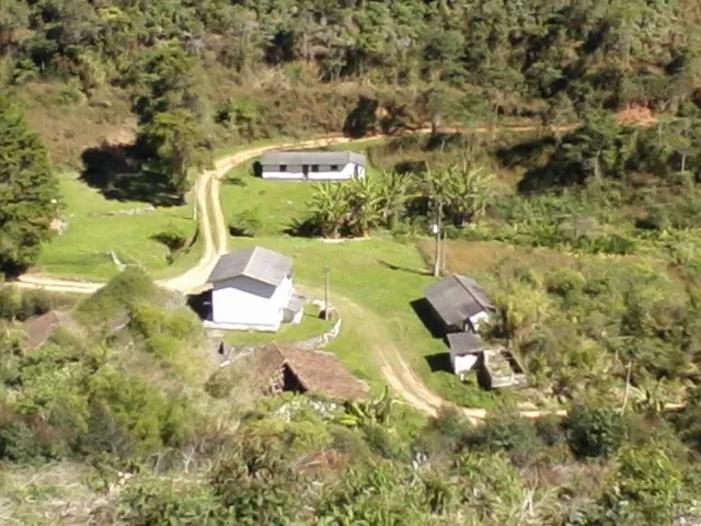 Imagem: Fazenda Bela Vista 250ha Investimento Imobiliário