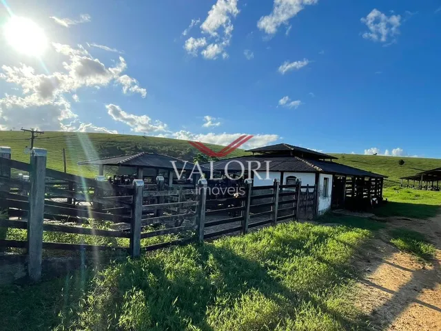 Imagem: Fazenda em Itabela BA - Produtiva e Totalmente