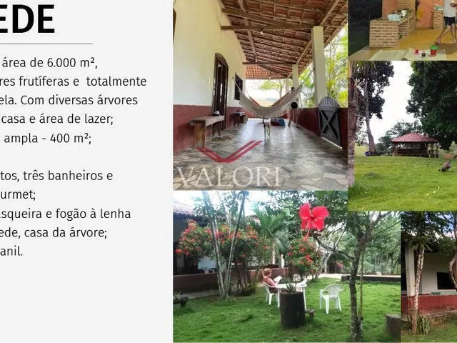 Imagem 5: Fazenda em Itabela BA - Produtiva e Totalmente operante para exploração pecuária