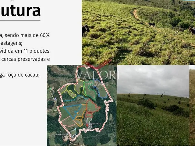 Imagem 7: Fazenda em Itabela BA - Produtiva e Totalmente operante para exploração pecuária