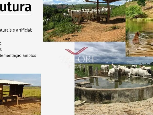 Imagem 14: Fazenda em Itabela BA - Produtiva e Totalmente operante para exploração pecuária