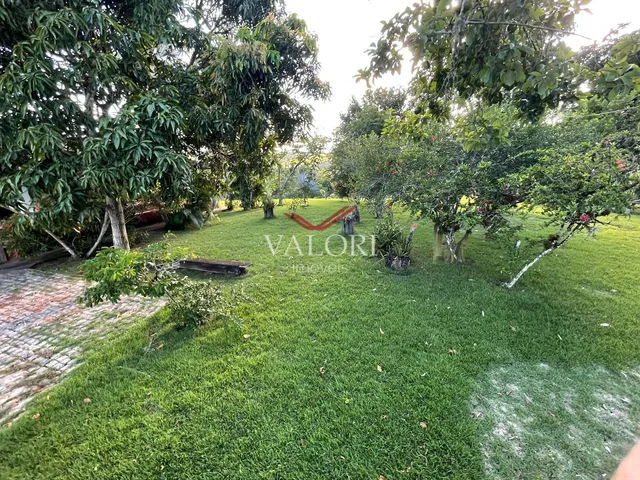 Imagem 4: Fazenda em Itabela BA - Produtiva e Totalmente operante para exploração pecuária