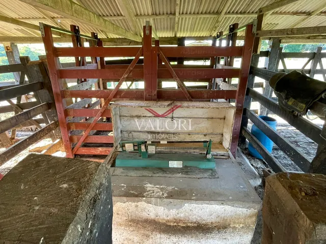 Imagem 2: Fazenda em Itabela BA - Produtiva e Totalmente operante para exploração pecuária