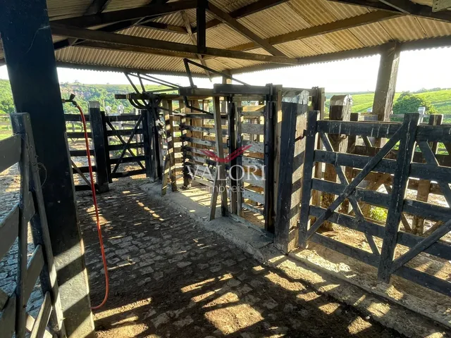 Imagem 8: Fazenda em Itabela BA - Produtiva e Totalmente operante para exploração pecuária