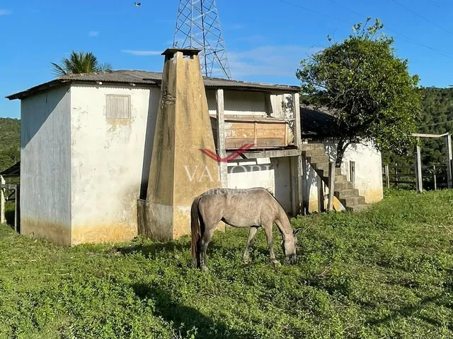Imagem 3: Fazenda em Itabela BA - Produtiva e Totalmente operante para exploração pecuária