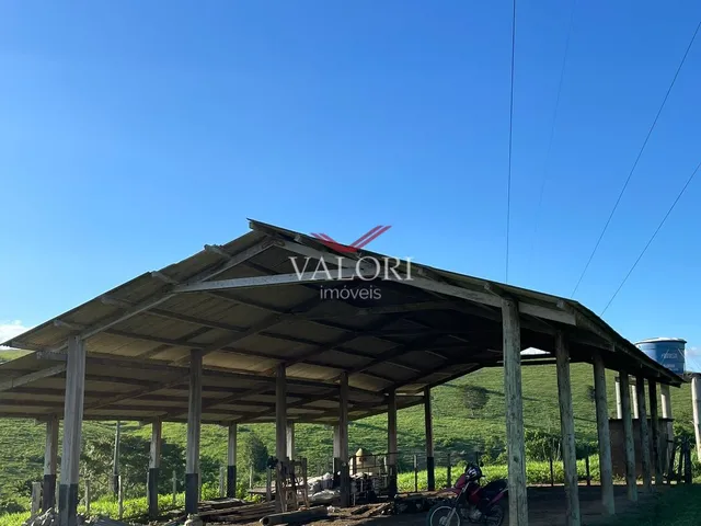 Imagem 10: Fazenda em Itabela BA - Produtiva e Totalmente operante para exploração pecuária