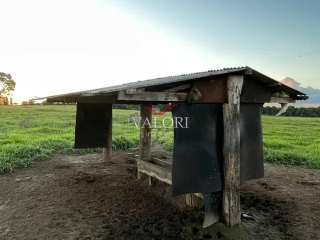 Imagem 11: Fazenda em Itabela BA - Produtiva e Totalmente operante para exploração pecuária