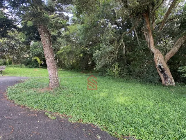 Imagem 2: Apartamento à venda todo reformado no Campo Comprido Curitiba-PR, 2 quartos, sala