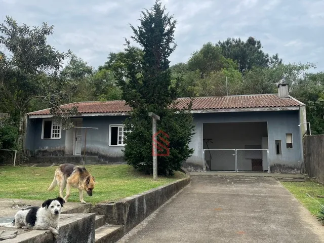 Imagem 9: Residência de 4 quartos e 2 suítes no bairro Orleans, Curitiba-PR: 300 m², 2 salas, 4