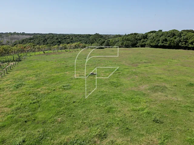 Imagem 9: Fazenda completa à venda, área total de 193.550,80 m², registrada com matrícula