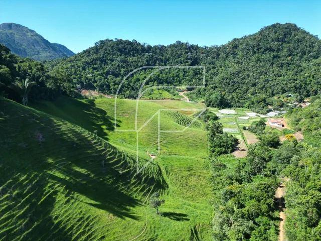Imagem 3: Area da venda com 100.000 mil metros², com muita agua dentro da propriedade em Buenos