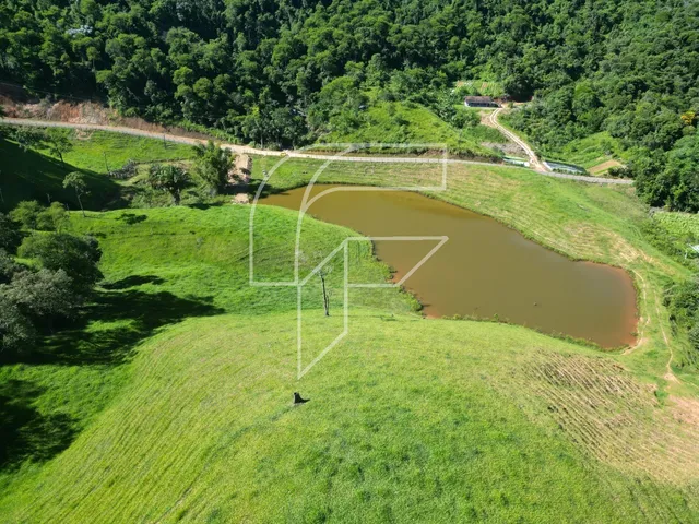 Imagem 2: Area da venda com 100.000 mil metros², com muita agua dentro da propriedade em Buenos