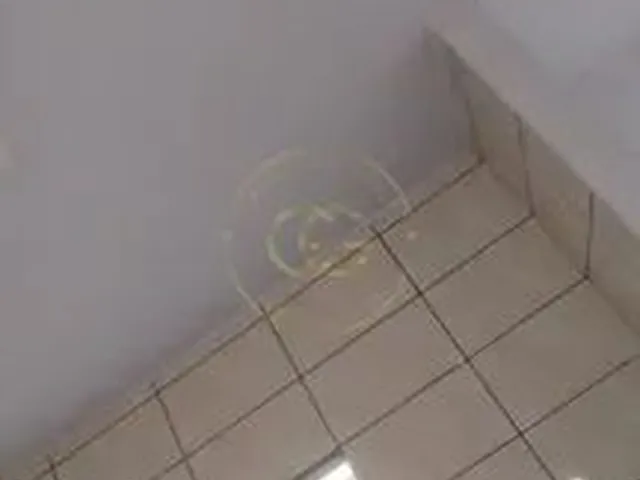 Imagem 12: Casa de Condomínio em Cordeiros - Itajaí