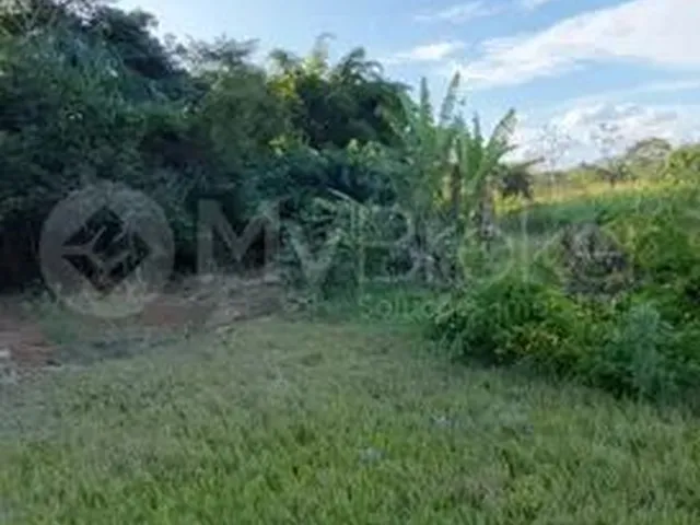 Imagem: Goiânia - Terreno Padrão - Jardim Novo