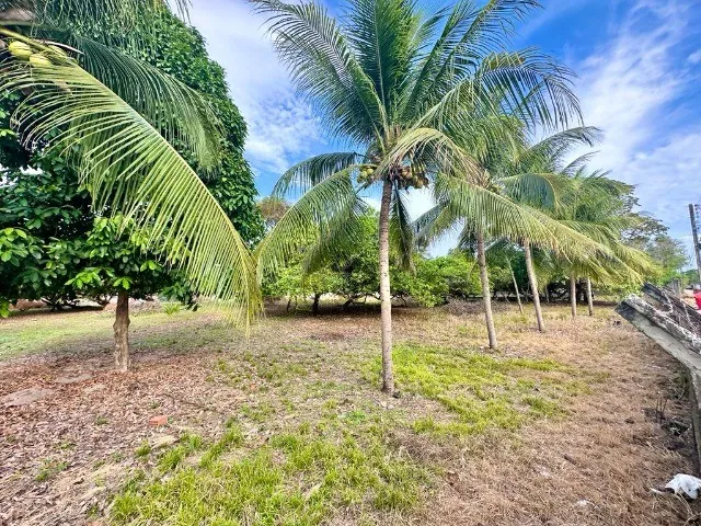 Imagem: Oportunidade Lotes Barra Nova - 33,30 X