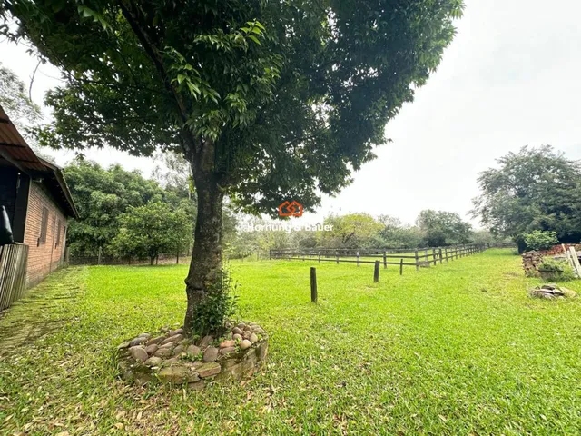 Imagem 7: Sítio à venda em Campo Bom, Barrinha - Com churrasqueira, piscina e árvores frutíferas