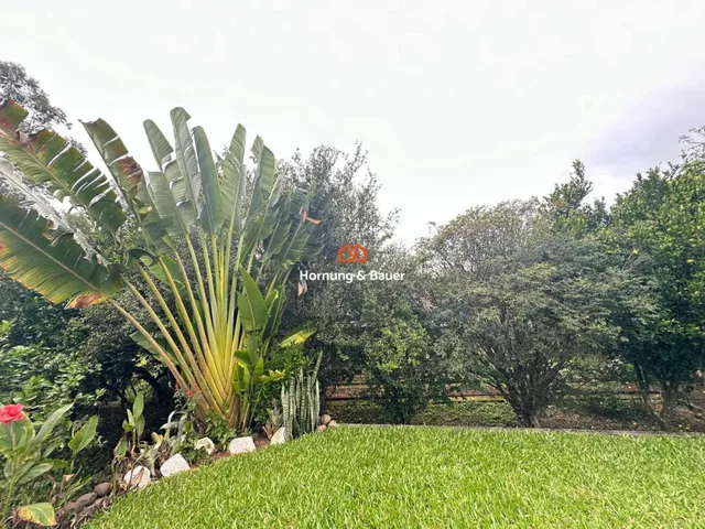 Imagem 12: Sítio à venda em Campo Bom, Barrinha - Com churrasqueira, piscina e árvores frutíferas