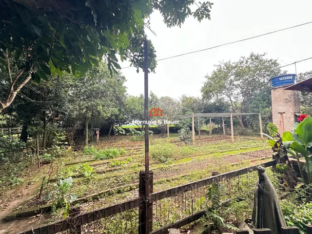 Imagem 6: Sítio à venda em Campo Bom, Barrinha - Com churrasqueira, piscina e árvores frutíferas