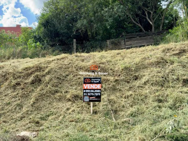 Imagem: Terreno à venda em Imigrante Norte, Campo