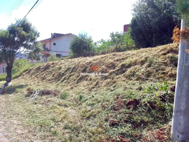 Imagem 4: Terreno à venda em Imigrante Norte, Campo Bom