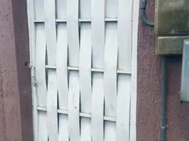 Imagem 9: Alugo Casa com 1/4,Na Cidade Nova V