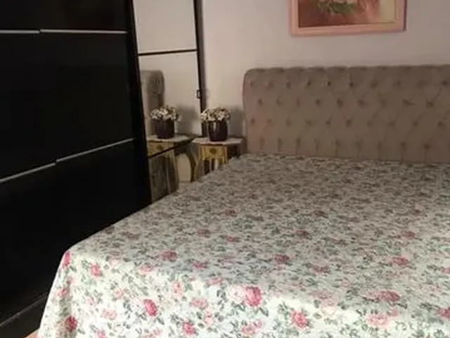 Imagem 5: Alugo/Aluguel Casa - Jd Petropolis