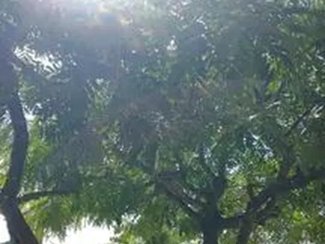Imagem 3: Casa para Alugar em Camaçari