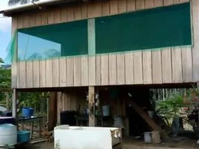 Imagem: Sitio Samauma