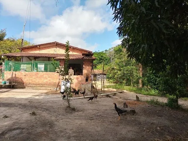Imagem: Sítio Curuçá