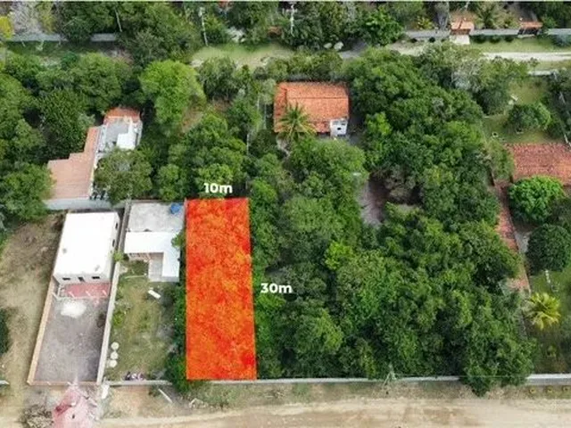 Imagem: Terreno 300M2, Murado, Arborizado, Ótimo