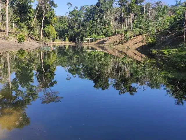 Imagem: Venda de Sítio em Manicoré Am com 23 Hectares