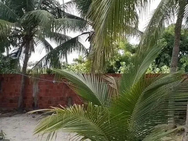 Imagem: Casa com Terreno e Quartos no Quintal