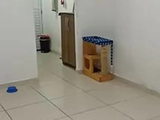 Imagem 7: Alugo Casa em Condomínio Fechado no Eustáquio Gomes, com 2 Quartos (Leia a Descrição