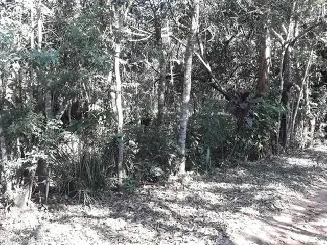 Imagem: Lote/Terreno para Venda Possui 320 Metros