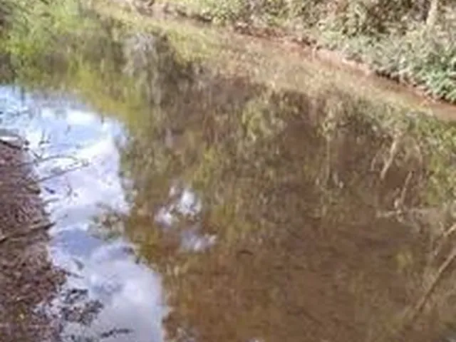 Imagem 10: Chacaras 2500 Metros no Girassol Go